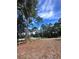 Wooded lot with a partially visible fence and blue sky at 7020 Sw 156 Pl, Dunnellon, FL 34432