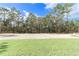 Spacious backyard with a grassy lawn and wooded area at 12590 Sw 89Th St, Dunnellon, FL 34432