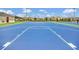 Full-size outdoor basketball court at 4382 Sunny Creek Pl, Kissimmee, FL 34746