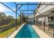 Long refreshing pool with a screened patio and lush landscape views at 117 Blue Heron Ct, Davenport, FL 33837