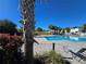 Inviting community pool with lounge chairs, lush landscaping, and palm trees at 604 Madison Dr, Davenport, FL 33837