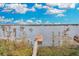 Private dock with lake access and beautiful water views at 9301 Tibet Pointe Cir, Windermere, FL 34786