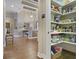 Well-stocked pantry with ample shelving and storage space for food and kitchen appliances at 25510 High Hampton Cir, Sorrento, FL 32776