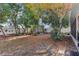 Spacious backyard with shed and mature trees at 2009 Appian Ct, Deltona, FL 32725