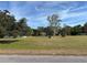 Large grassy lot with mature trees and a country setting at 31029 Nocatee Trl, Sorrento, FL 32776