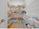 Large pantry with ample shelving for storage at 3359 Hanging Tide St, Winter Garden, FL 34787