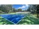 Two well-maintained pickleball courts at 12071 Lakeshore Way, Oxford, FL 34484