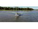 Seaplane landing on a lake near the shore at 6320 Rocky Point Rd, Lake Wales, FL 33898