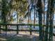Lakefront view with a lifeguard stand, dock, and Spanish moss-draped trees at 6320 Rocky Point Rd, Lake Wales, FL 33898