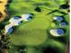 Aerial view of a lush green golf course at 1239 Radiant St, Reunion, FL 34747