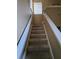 Carpeted staircase with light beige walls and white railings at 3563 S Saint Lucie Dr, Casselberry, FL 32707