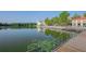 Picturesque walkway along the lake with beautiful reflections and water lilies at 513 Mirasol Cir # 101, Celebration, FL 34747
