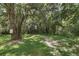 Wooded area with lush greenery and mature trees at 698 Roaring Dr # 382, Altamonte Springs, FL 32714