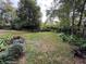 Spacious backyard with green lawn and various plants along the edges at 4137 Lake Forest St, Mount Dora, FL 32757