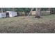 Backyard with shed, wooden fence, large tree, and a ladder at 1859 Lake Hill Cir, Orlando, FL 32818