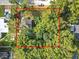 Top-down perspective of the lot, showcasing the trees and home at 3109 Williams St, Orlando, FL 32806