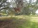 Spacious backyard with large trees and a small pond or creek at 915 Ekana Green Ct, Oviedo, FL 32765