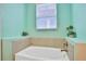 Bathroom with a bathtub and light teal walls at 3056 Parrot Head Pl, Kissimmee, FL 34747