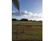 Spacious backyard with grassy area and partial fence at 250 Silas Phelps Ct, Orlando, FL 32828