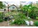 Fruit trees and other plants growing in the backyard of a house at 1413 Dorothy Ave, Haines City, FL 33844