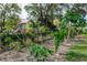 Backyard with various plants and trees at 1413 Dorothy Ave, Haines City, FL 33844