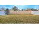 Fenced backyard with a small tree and a wall separating it from the street at 473 Disa Dr, Davenport, FL 33837