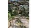 Long driveway leading through a lush, wooded area at 1918 Mountain Lake Cutoff Rd, Lake Wales, FL 33859