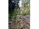 Dirt driveway with lush vegetation on either side at 1918 Mountain Lake Cutoff Rd, Lake Wales, FL 33859