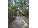 Dirt path through wooded area; a natural, scenic path at 1918 Mountain Lake Cutoff Rd, Lake Wales, FL 33859