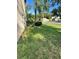Landscaped front yard with palm trees and green grass at 1005 Chase Dr, Winter Garden, FL 34787