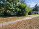 White house partially hidden by overgrown landscaping at 1701 N Hastings St, Orlando, FL 32808