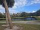 Pond and lush landscaping with palm trees at 501 Heritage Trail St, Kissimmee, FL 34759