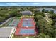 Well-maintained tennis and pickleball courts at 24946 Cranes Roost Circle, Leesburg, FL 34748