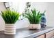 Entryway with modern console table and stylish plants at 528 Nogales Ct, Kissimmee, FL 34758
