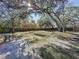 Backyard with large shade trees, patio, and open space at 1215 Timberidge Dr, Lakeland, FL 33809