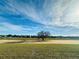 Spacious grassy area with a single tree and distant homes at 10118 Storey Grove Way, Winter Garden, FL 34787