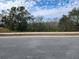Vacant lot with trees and paved roadside at 3509 Yarian Dr, Haines City, FL 33844