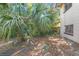 Side yard with overgrown vegetation and palm trees at 1733 Hickorywood Ln, Orlando, FL 32818