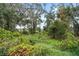 Overgrown lot with lush vegetation at 2806 Balforn Tower Way, Winter Garden, FL 34787