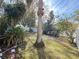 Landscaped backyard with lush tropical plants and trees at 5014 Wise Bird Dr, Windermere, FL 34786