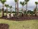 Relaxing community park with Adirondack chairs nestled amongst palm trees at 12128 Illustration Dr, Orlando, FL 32832