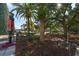 Landscaped park view with palm trees and Christmas decorations at 151 E Washington St # 424, Orlando, FL 32801