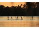 Tranquil lake scene with paddleboarders at 5271 Isleworth Country Club Drive, Windermere, FL 34786