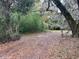 Partially wooded lot with a dirt driveway at 14917 Se 106Th Ave, Summerfield, FL 34491