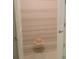 Walk-in pantry with wire shelving; great for storage at 573 Lago Matisse St, Kissimmee, FL 34759