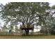 Charming treehouse with ladder and swings built into a large oak tree at 2293 Eldorado Ct, St Cloud, FL 34771