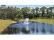 Picturesque community pond with a central fountain, surrounded by lush greenery at 142 Jones Fish Camp Rd, Edgewater, FL 32141