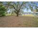 Large backyard with mature trees and play area at 14837 Siplin Rd, Winter Garden, FL 34787