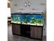 Large, modern aquarium with various fish and plants at 477 Jeffrey James Way, Apopka, FL 32712