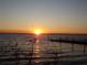 Serene sunset view over calm lake water at 110 Cypress Woods Ct # 5C, Deltona, FL 32725